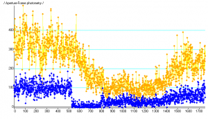 Patrick Adorea light curve